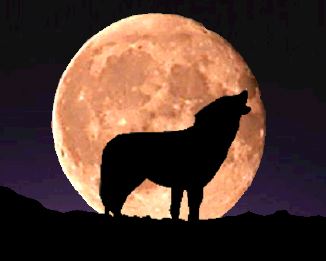 loup